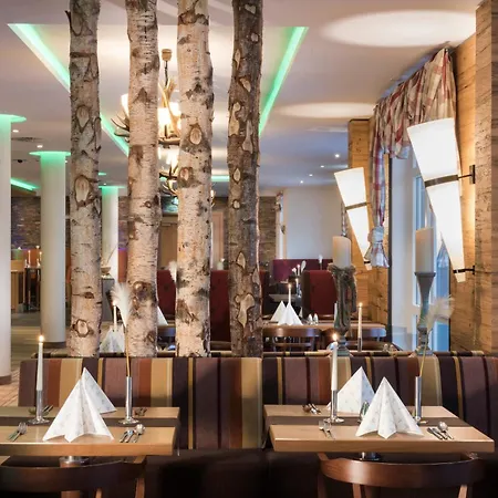 Western 4* ヴィリンゲン