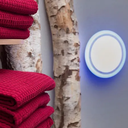 Western Отель Виллинген