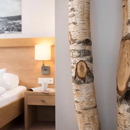 Hotell Western
