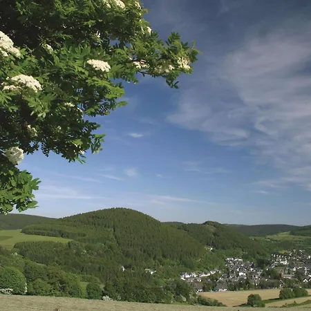 Western Виллинген