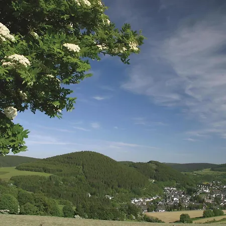 Hotel Western Willingen (Upland)