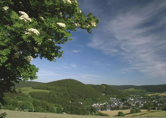 Western Willingen (Upland)