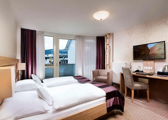 Western 4* Willingen (Upland)